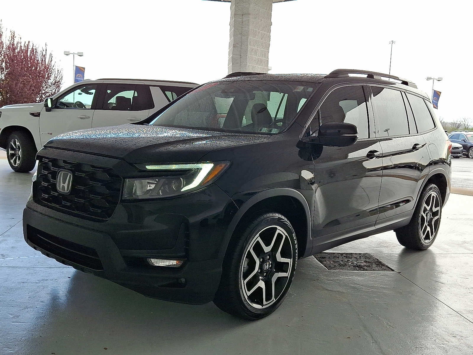 2022 Honda Passport Elite